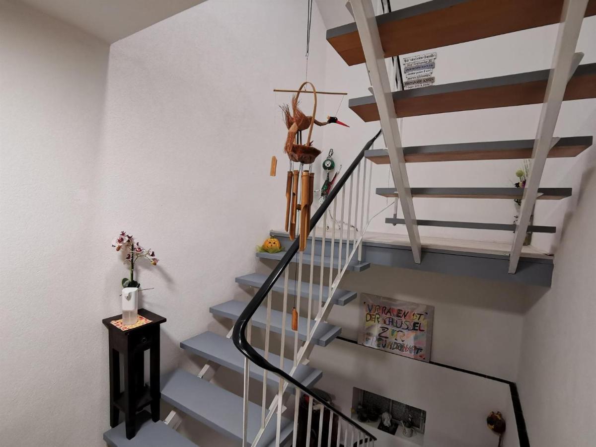 Nest Apartment
