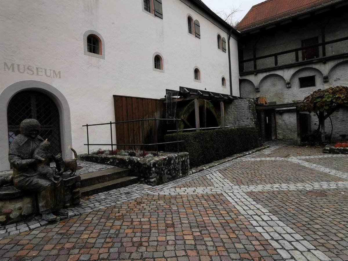 Nest Wangen im Allgaeu