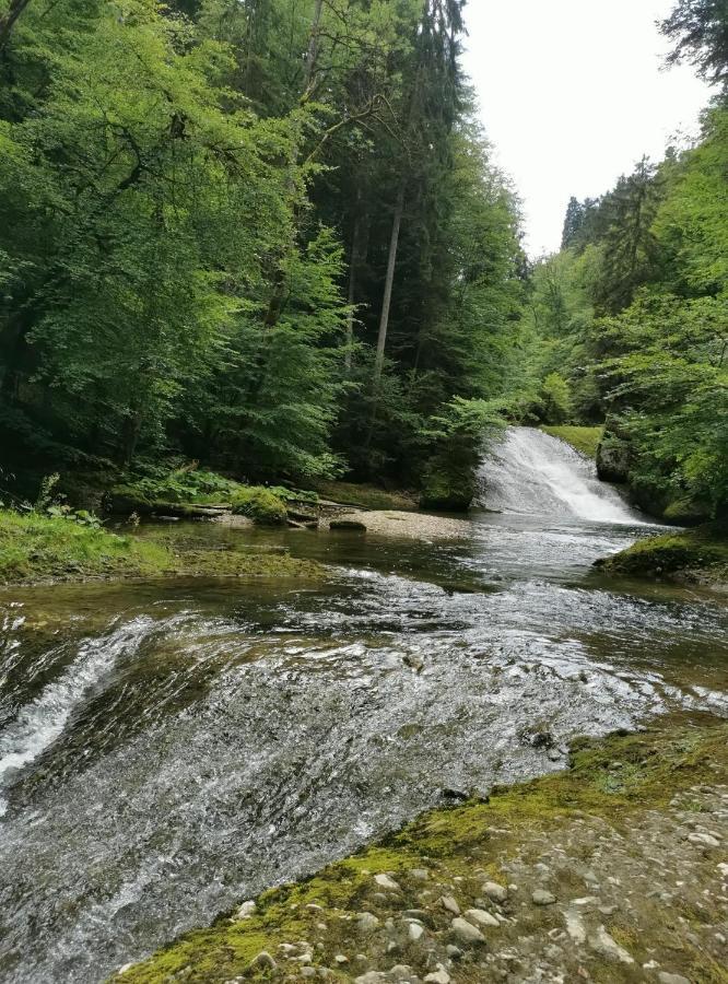 Nest Apartment Wangen im Allgaeu