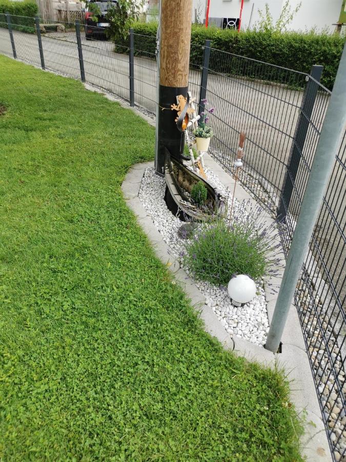 Nest