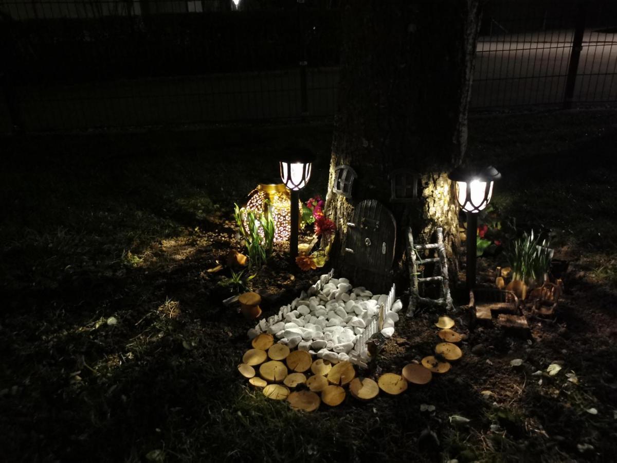 Nest Wangen im Allgaeu